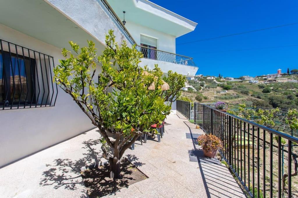 Echapee Belle - Vinayard View - Jacuzzi Bbq - Parking Lejlighed Nice Eksteriør billede